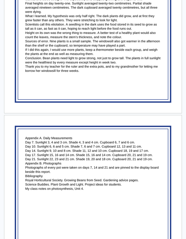 The end of page one and the start of page two in a Google Doc, each framed by the same navy double border half an inch inside the paper edge